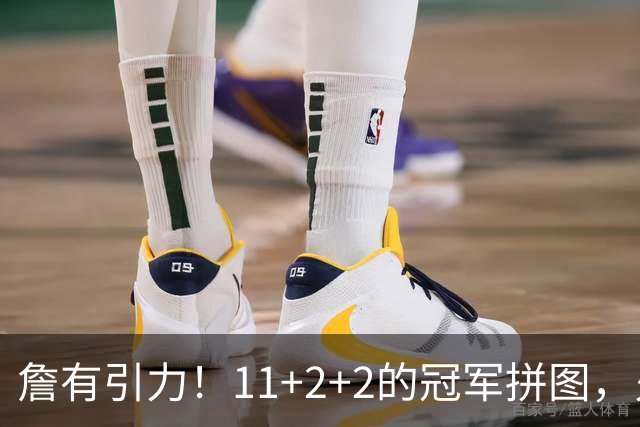 詹有引力！11+2+2的冠军拼图，火速买断加盟76人，和老詹再续前缘